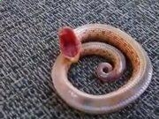 KOK体育手机APP下载安卓版二维码