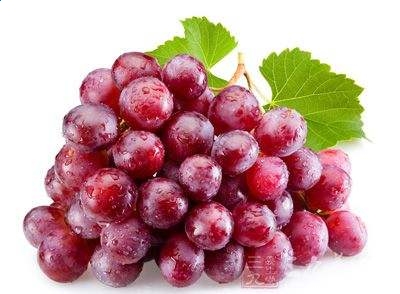 黑马计划登录V9.5专业版