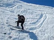 网上购彩平台登录安卓版二维码