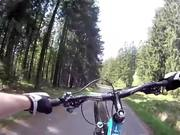 花猫旅行手机版