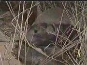 kaiyun开云官方网站