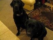 YABO SPORTS官网2025版游戏世界观场景