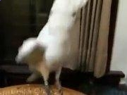 河南汽车维修平台APP