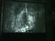 v站体育appV9.4专业版