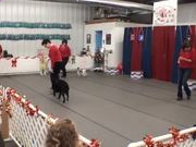 河南汽车维修平台APP