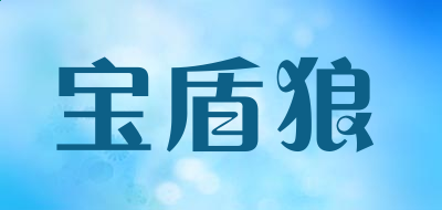 XP星号密码查看器