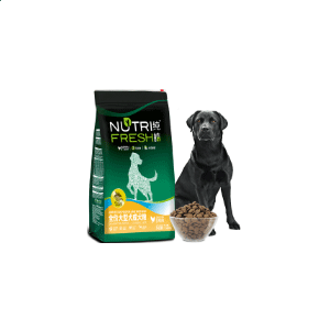 雨林木风onekey ghost工具