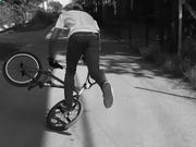 分分28预测网appV3.1专业版