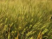 7388大富翁appV8.6专业版