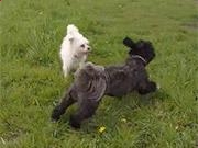 开云官方网页版登录入口