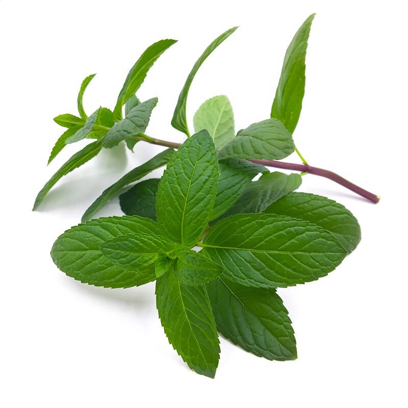 灵魂筹码2025最新版账号绑定界面示意