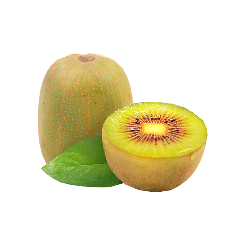 涂鸦冒险家无限2025版沙盒模式与关卡编辑器