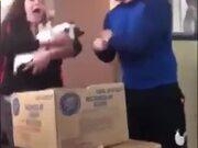 kok中欧体育官网入口安卓版二维码