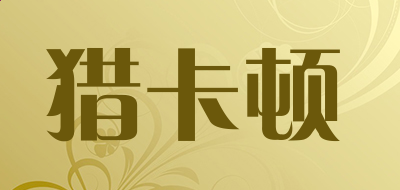 神舟优雅a460 i3摄像头驱动