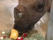 BB糖果游戏appV3.7专业版