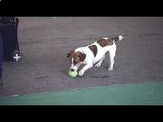 河南汽车维修平台APP