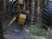 江南足球appappV2.7专业版