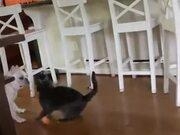 pg娱乐下载V6.7专业版