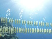 乐虎国际娱乐登录V2.1专业版