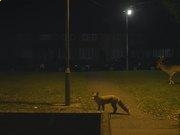 hg体育365appV9.2专业版