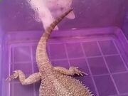 kaiyun登录入口登录app下载V5.4专业版