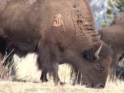 河南汽车维修平台APP