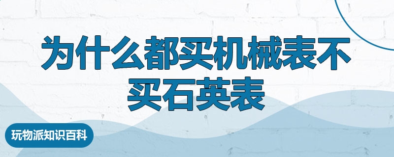 彩6娱乐app官网V5.6专业版