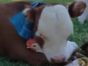 新万博体育全站appV7.4专业版