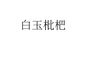 龙珠觉醒先遣服手游