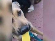 南宫28娱乐app