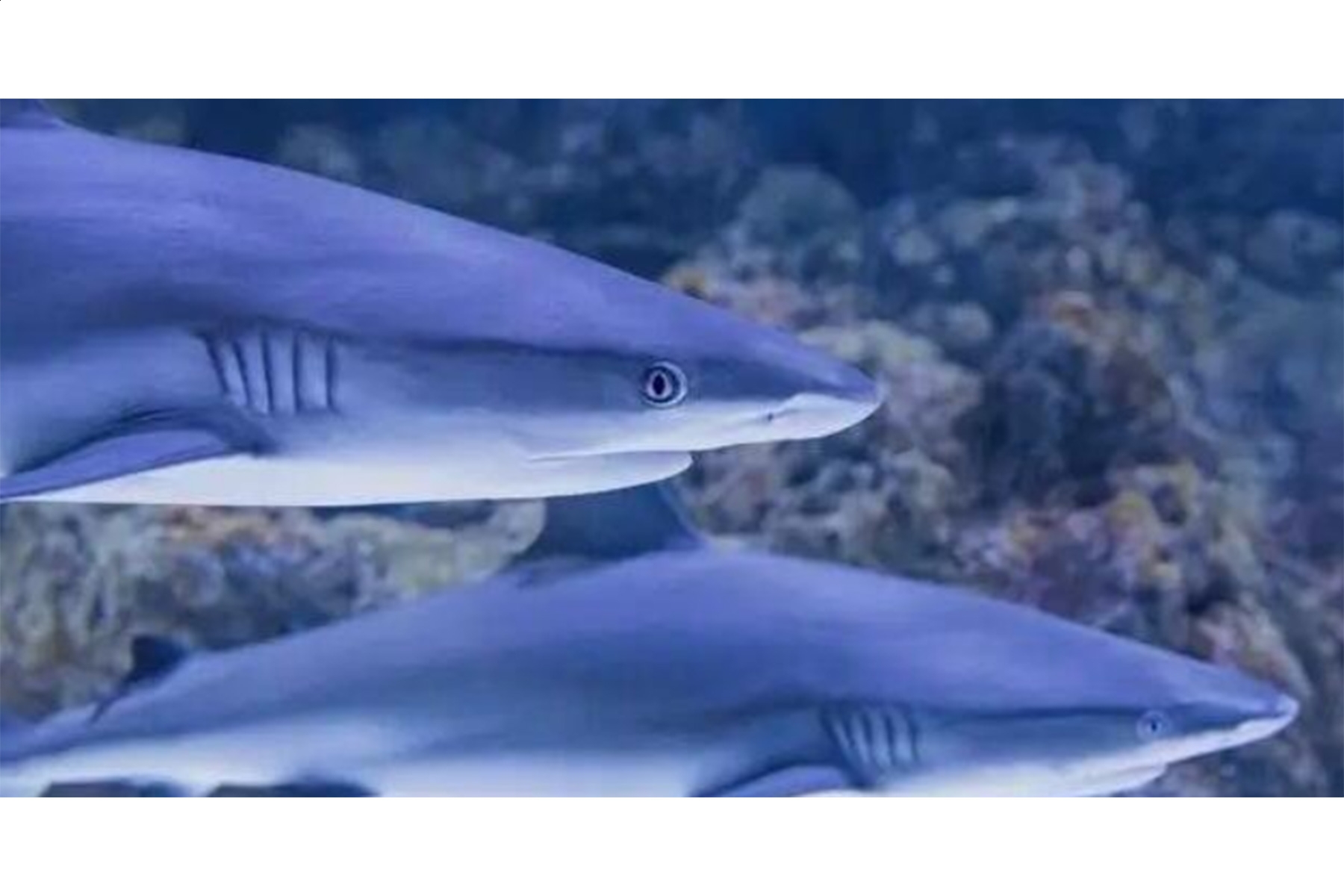 河南汽车维修平台APP