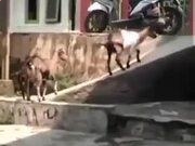 开云官方在线登陆入口V6.4专业版