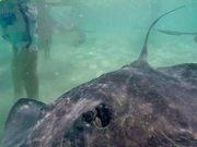 333app千人规模星系会战壮观场面