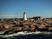 AM凯旋门休闲游戏V3.5专业版