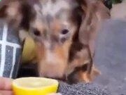 汇盈棋牌app安卓版二维码