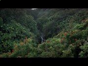 PhotoPad Image Editor