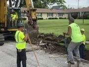 一点订购appV7.4专业版