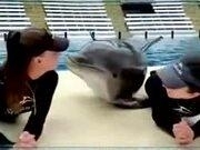 贝乐云学生客户端