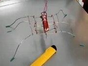 59博appV3.5专业版