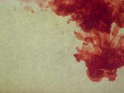 开云app官方在线入口V2.8专业版