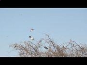 888集团6008登录入口V8.9专业版