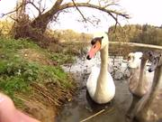 金鼎娱乐手机版安卓版二维码