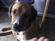 bst365体育2025版恐龙逃脱危机处理画面