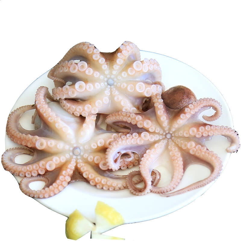 迅雷绿色版精简版