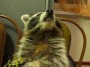 百家乐凯发k8官网V4.7专业版