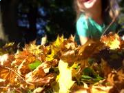 金山词霸2012电脑版