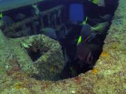 nba押注注册 最新版本 连队与赛季界面