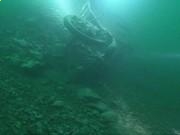 澳门星星彩app安卓版二维码