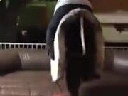 mss32.dll修复工具