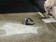 博亚appV7.9专业版